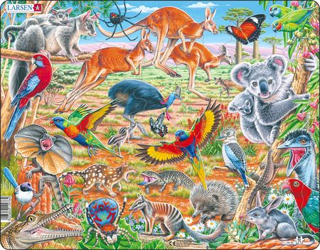 FH45 - The unique fauna of Australia