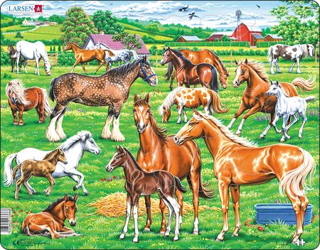 FH50 - Nydelige hester av forskjellige raser, farger og størrelser.