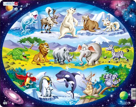 NM6 - Beginner Puzzle: Animals Around the World