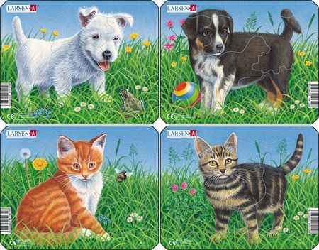 M13 - Cats and Dogs